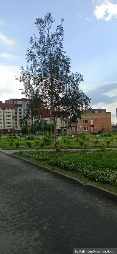 Небольшой кусочек нашего города. Цветочки (фото 2)