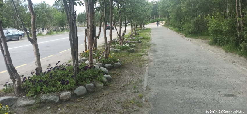 Небольшой кусочек нашего города. Цветочки