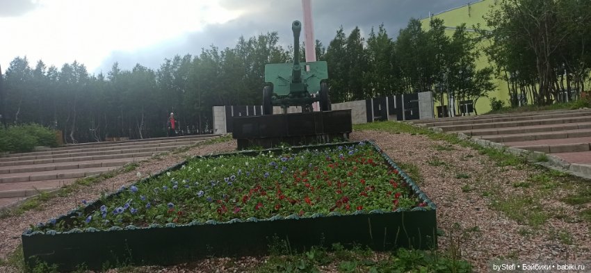 Небольшой кусочек нашего города. Цветочки