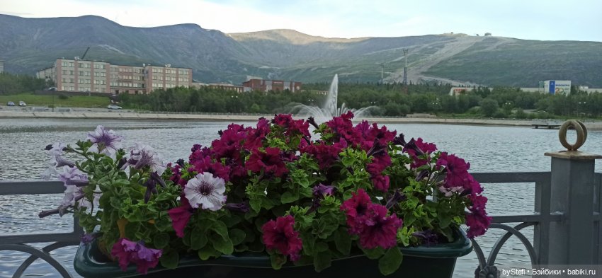 Небольшой кусочек нашего города. Цветочки (фото 7)