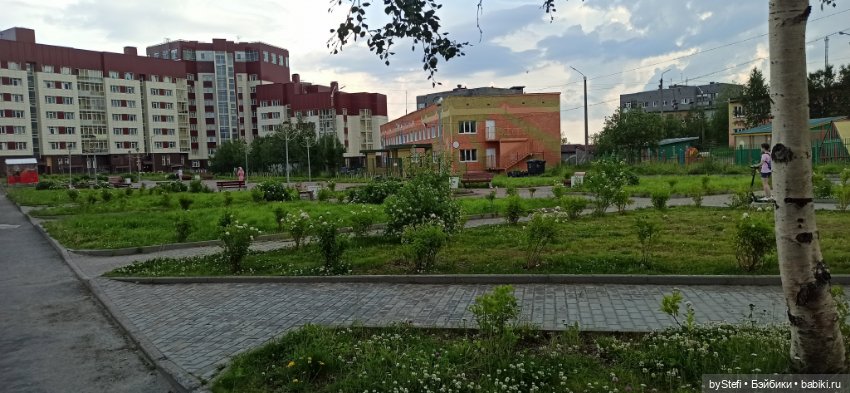 Небольшой кусочек нашего города. Цветочки (фото 4)