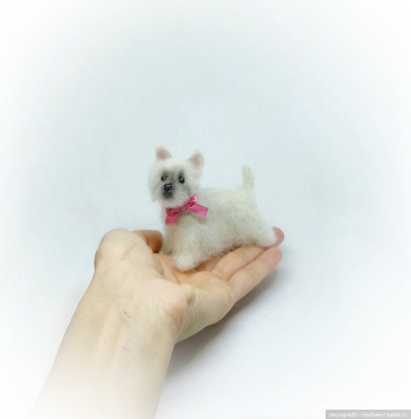 Малыш Вест Хайленд Уайт терьер (фото 6)