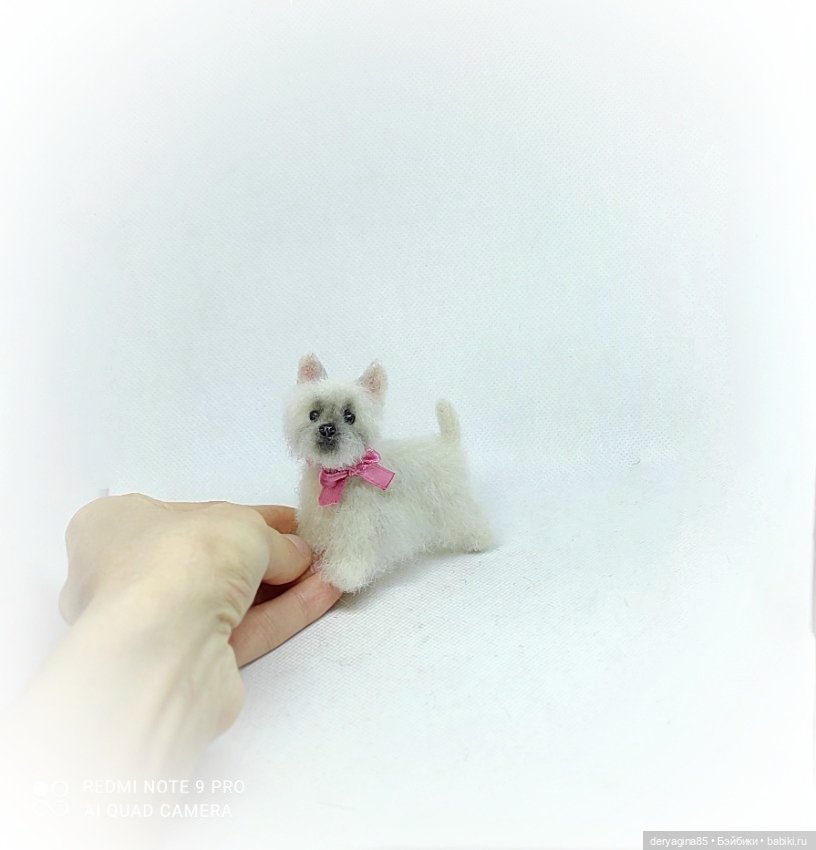 Малыш Вест Хайленд Уайт терьер (фото 2)