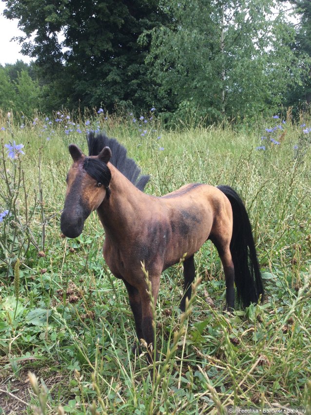 Переделка игровых лошадей для Барби