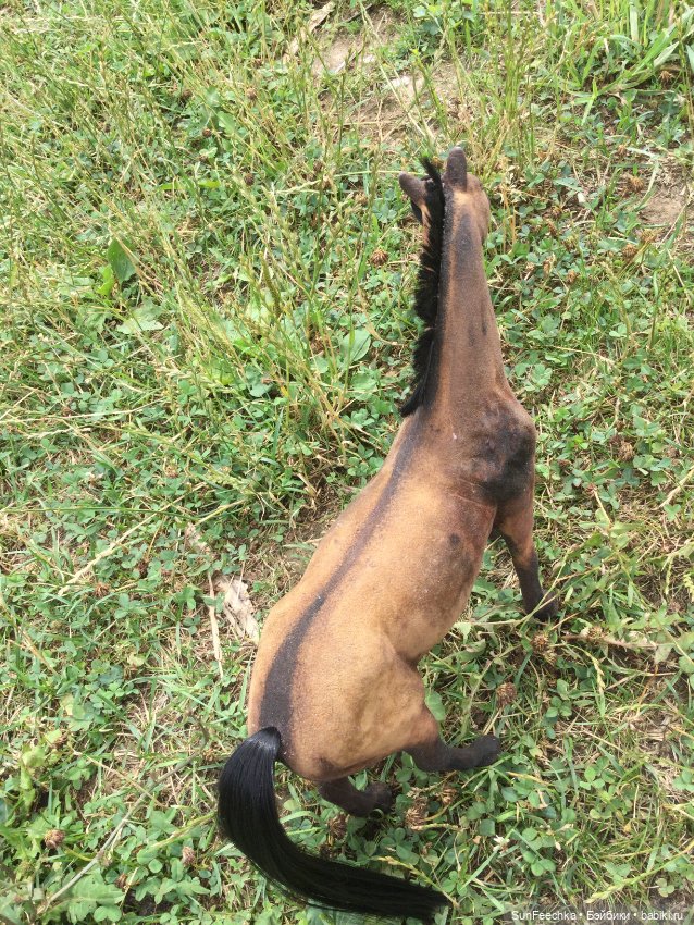 Переделка игровых лошадей для Барби (фото 3)