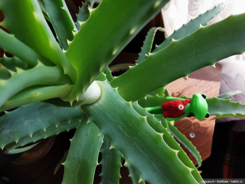 Лягушата как ребята — Фигурки Studio