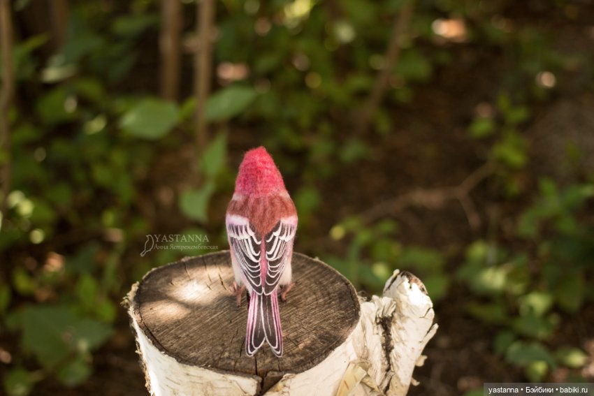 Ты Витю видел — Валяные игрушки из шерсти: сухое валяние