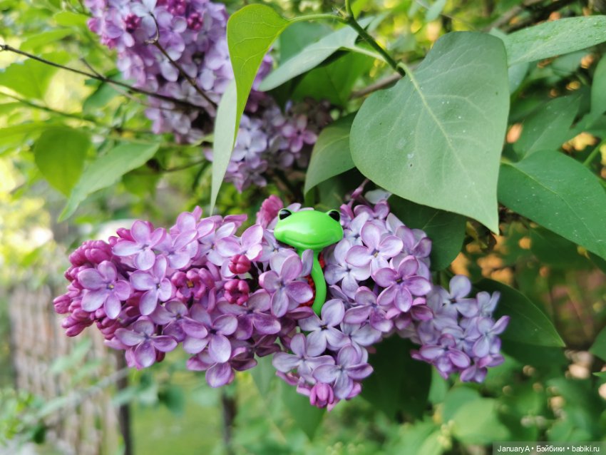 Лягушата как ребята — Фигурки Studio (фото 2)