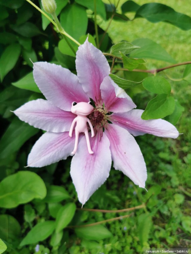 Лягушата как ребята — Фигурки Studio