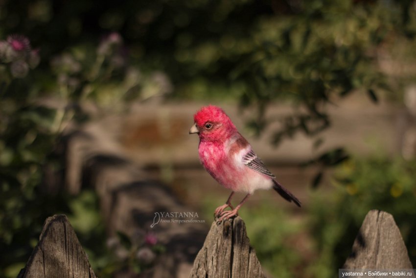 Ты Витю видел — Валяные игрушки из шерсти: сухое валяние