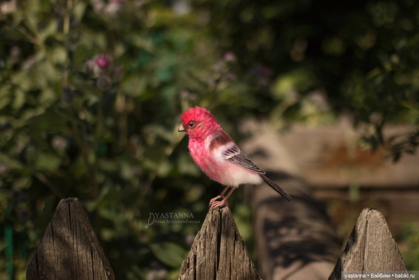 Ты Витю видел — Валяные игрушки из шерсти: сухое валяние (фото 10)