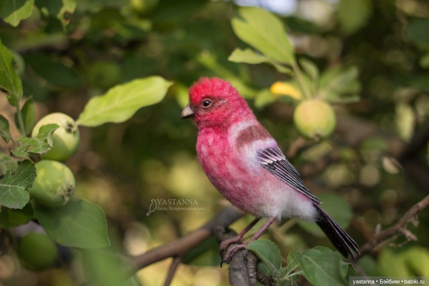 Ты Витю видел — Валяные игрушки из шерсти: сухое валяние (фото 7)