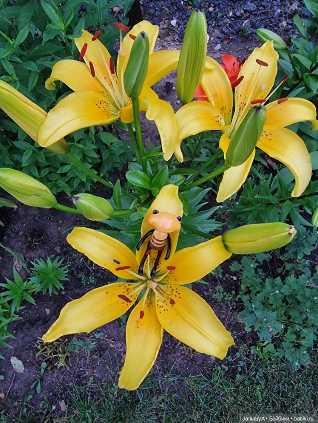 Лягушата как ребята — Фигурки Studio