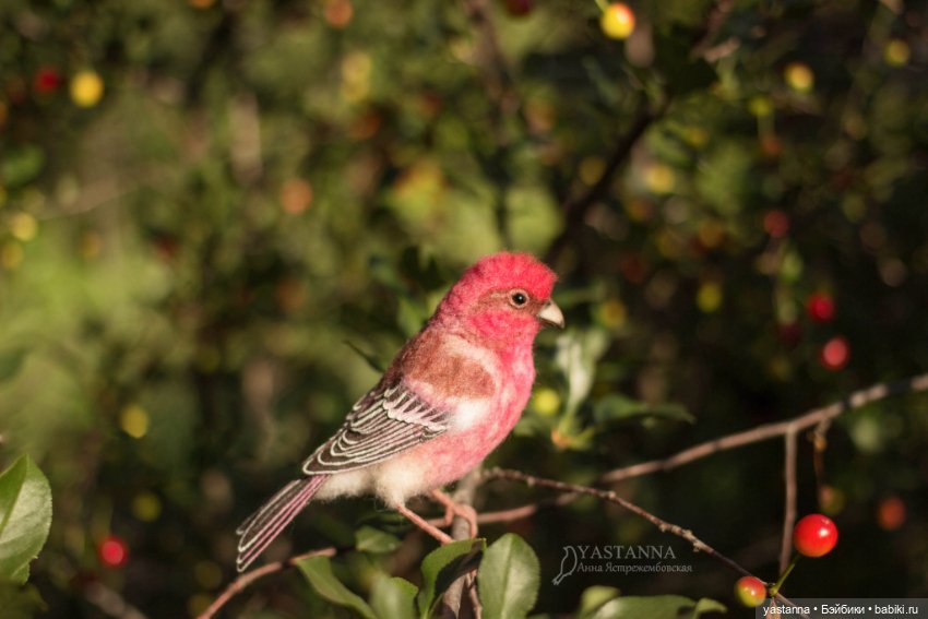 Ты Витю видел — Валяные игрушки из шерсти: сухое валяние (фото 9)