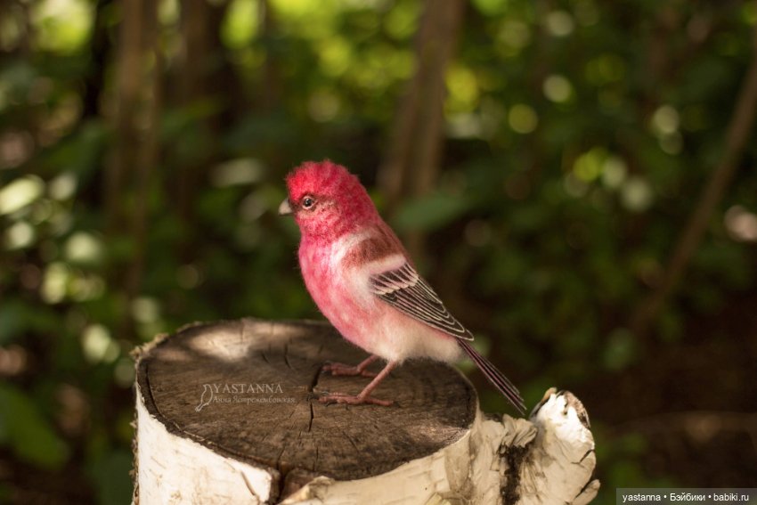 Ты Витю видел — Валяные игрушки из шерсти: сухое валяние