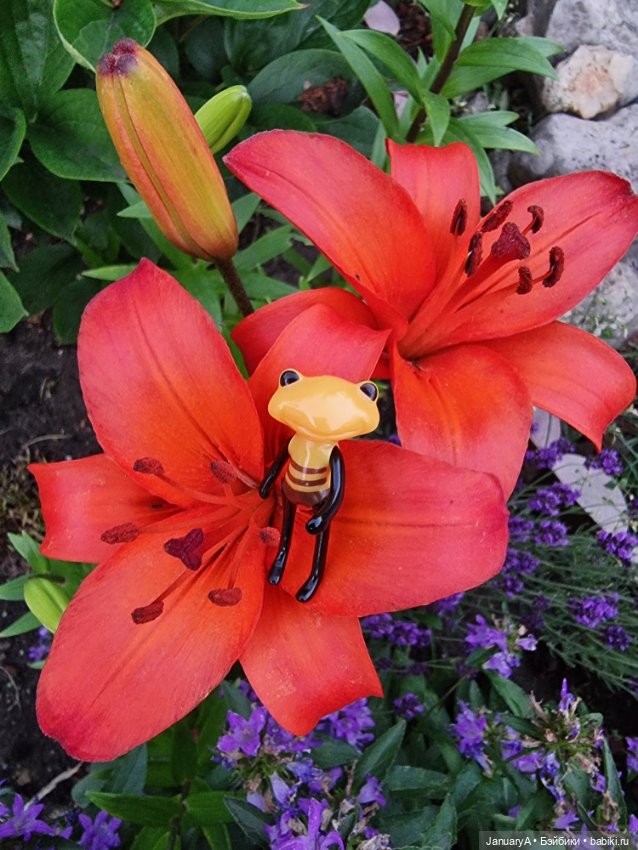 Лягушата как ребята — Фигурки Studio