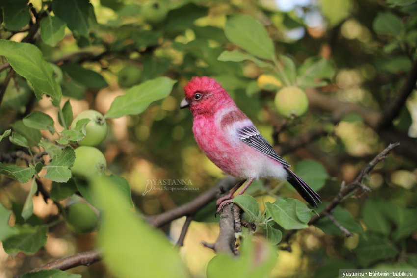Ты Витю видел — Валяные игрушки из шерсти: сухое валяние (фото 6)