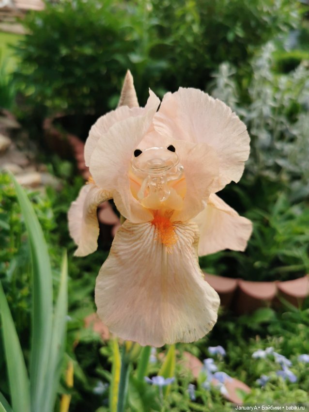 Лягушата как ребята — Фигурки Studio