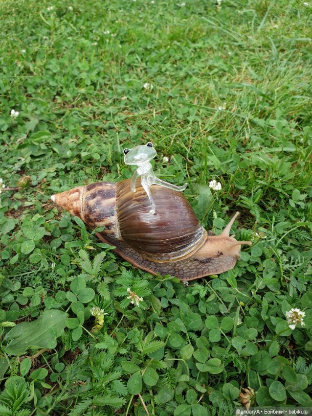 Лягушата как ребята — Фигурки Studio