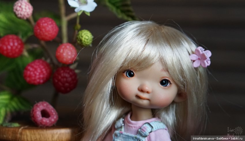 Ягода малинка оп-оп-оп..Да и ежевика оп-оп-оп (фото 2)