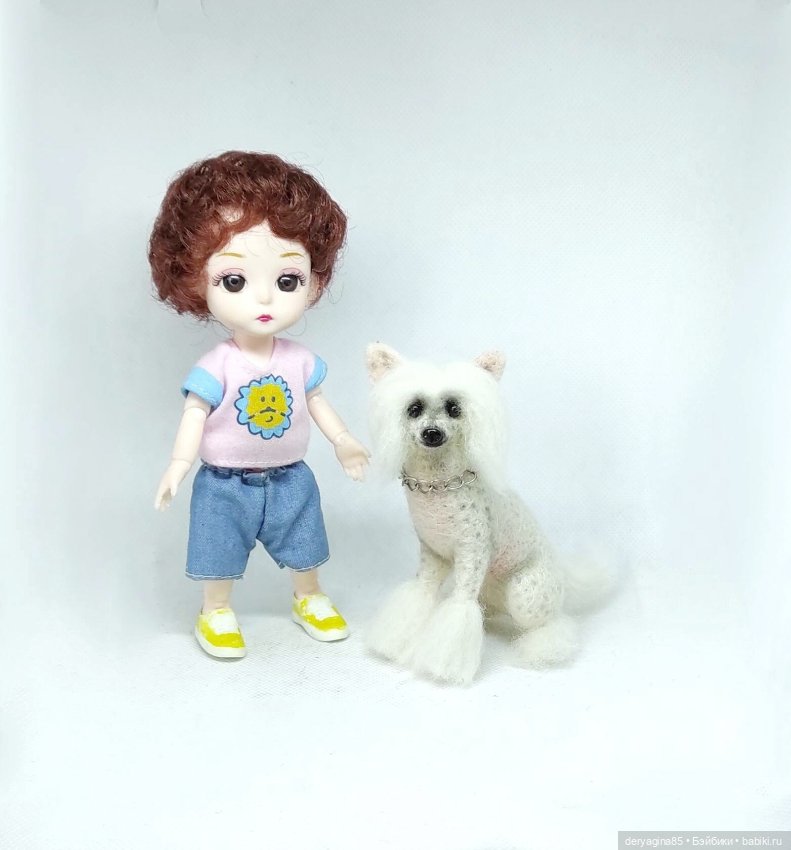 Китайская хохлатая собачка (фото 10)