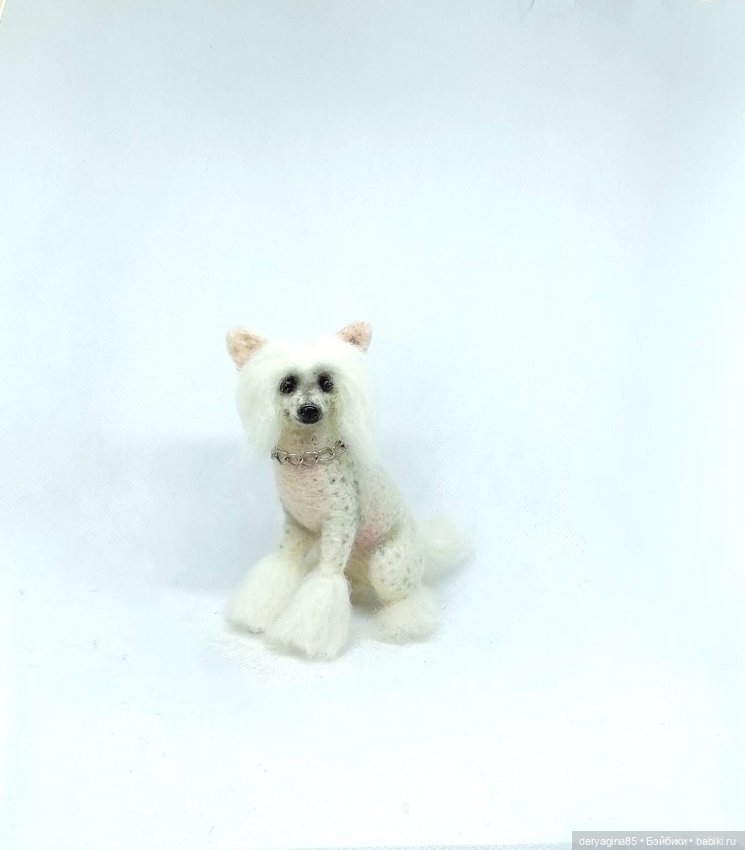 Китайская хохлатая собачка (фото 4)