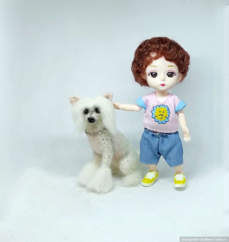 Китайская хохлатая собачка