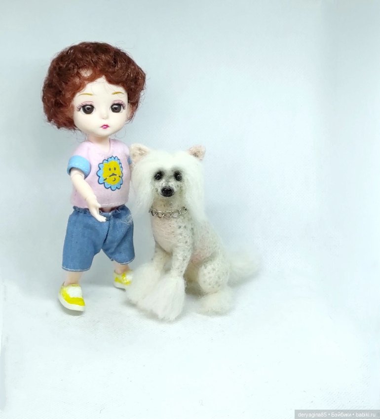 Китайская хохлатая собачка (фото 2)