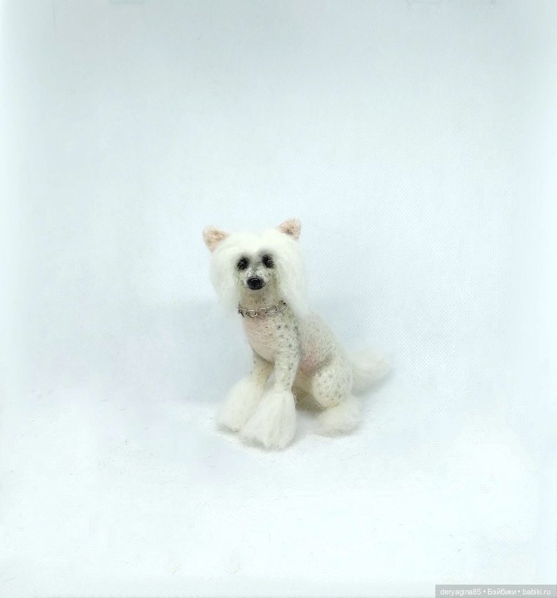 Китайская хохлатая собачка (фото 3)