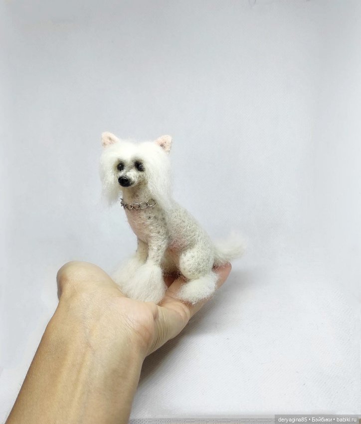 Китайская хохлатая собачка (фото 5)