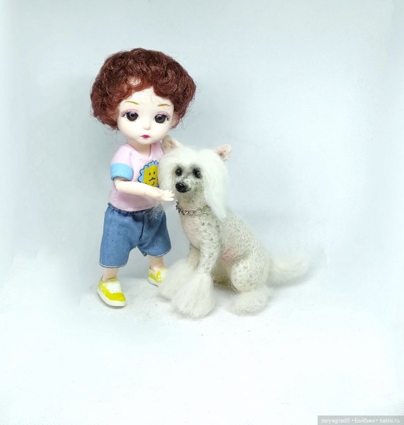 Китайская хохлатая собачка (фото 9)