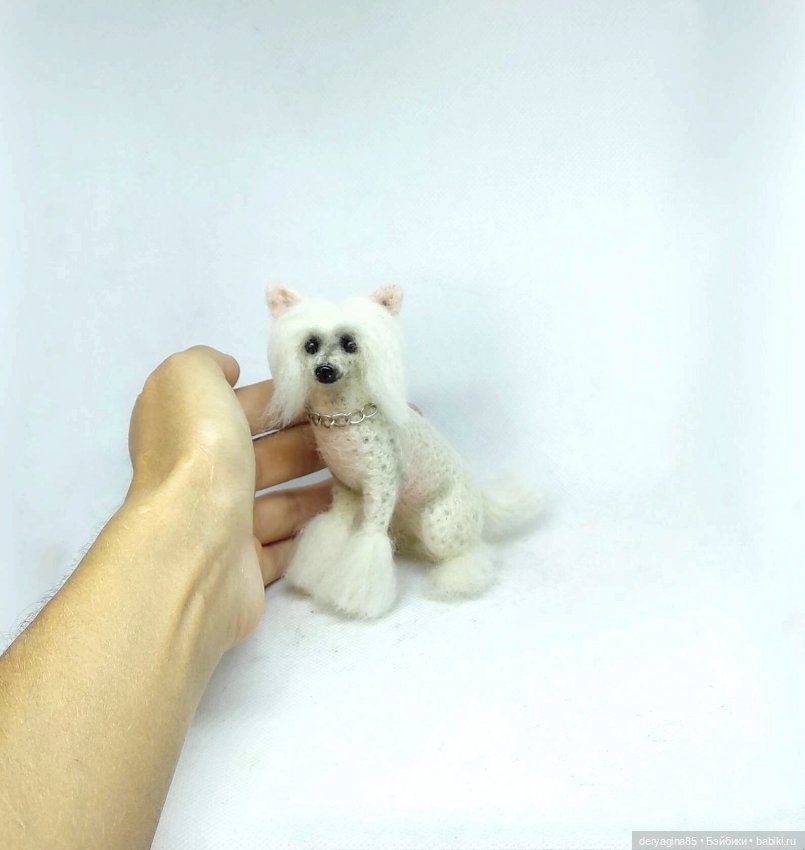 Китайская хохлатая собачка (фото 8)
