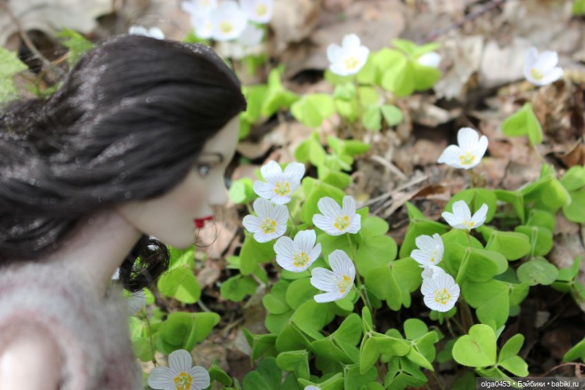 Куклы Tonner, ч. 77: 70 лет Роберту Тоннеру