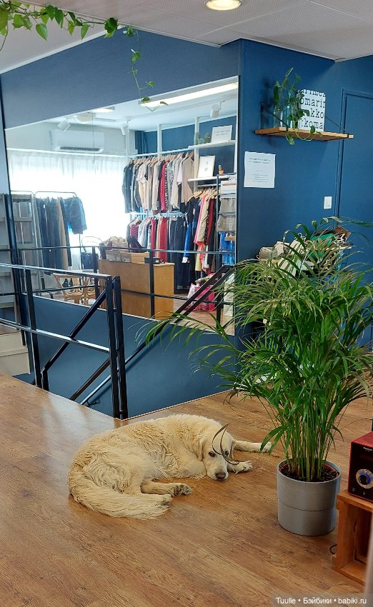 Город с трудным названием Хямеэнлинна