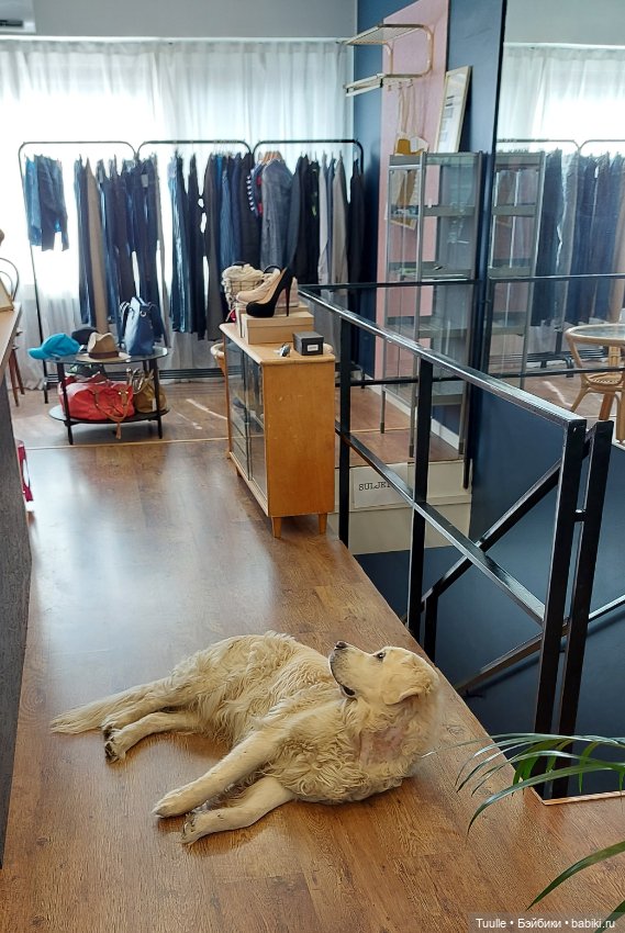 Город с трудным названием Хямеэнлинна