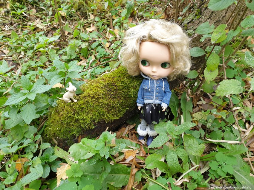 Блайз. Real Блайз — Оригинальные куклы Blythe (Блайз): Takara (фото 8)