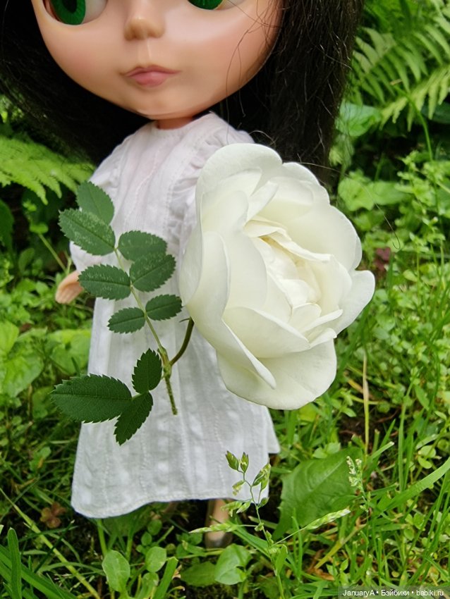 Блайз. Real Блайз — Оригинальные куклы Blythe (Блайз): Takara