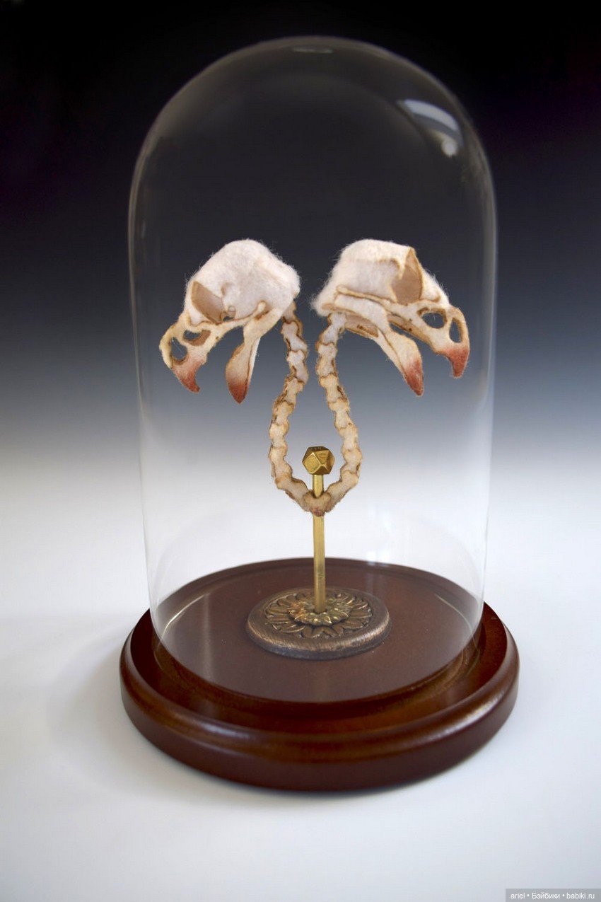 Анатомические препараты из новой коллекции Ланы Крукс (Lana Crooks) (фото 5)