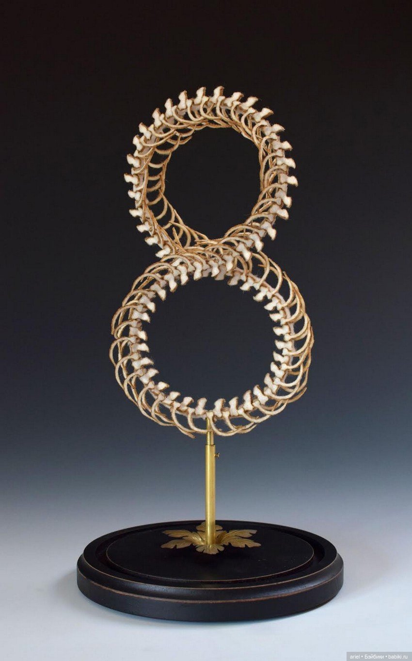 Анатомические препараты из новой коллекции Ланы Крукс (Lana Crooks) (фото 9)