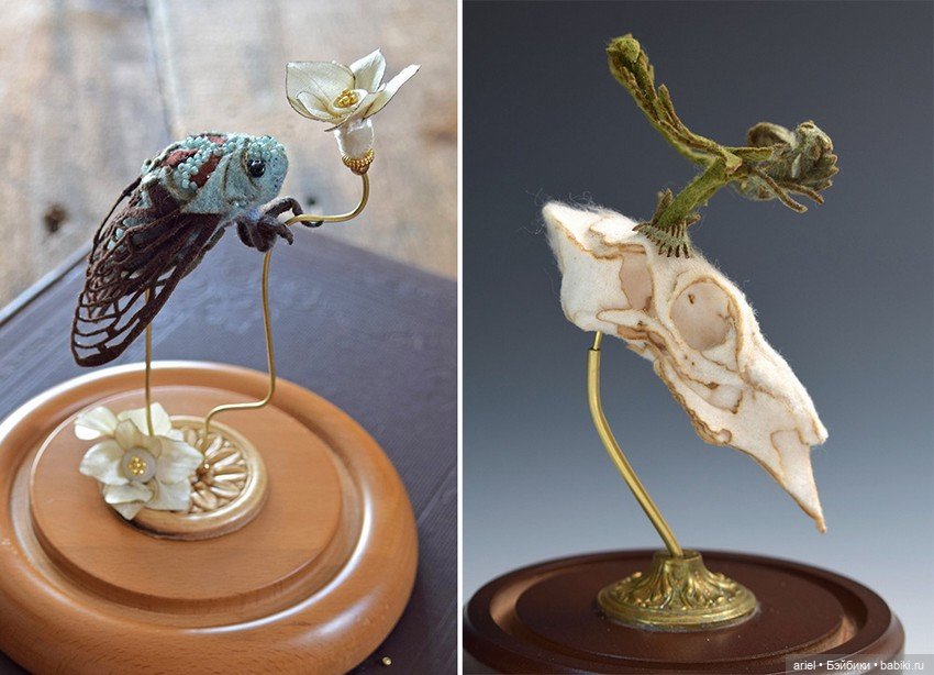 Анатомические препараты из новой коллекции Ланы Крукс (Lana Crooks) (фото 6)