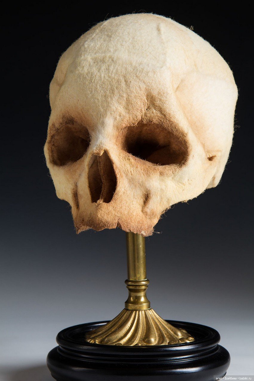 Анатомические препараты из новой коллекции Ланы Крукс (Lana Crooks) (фото 2)