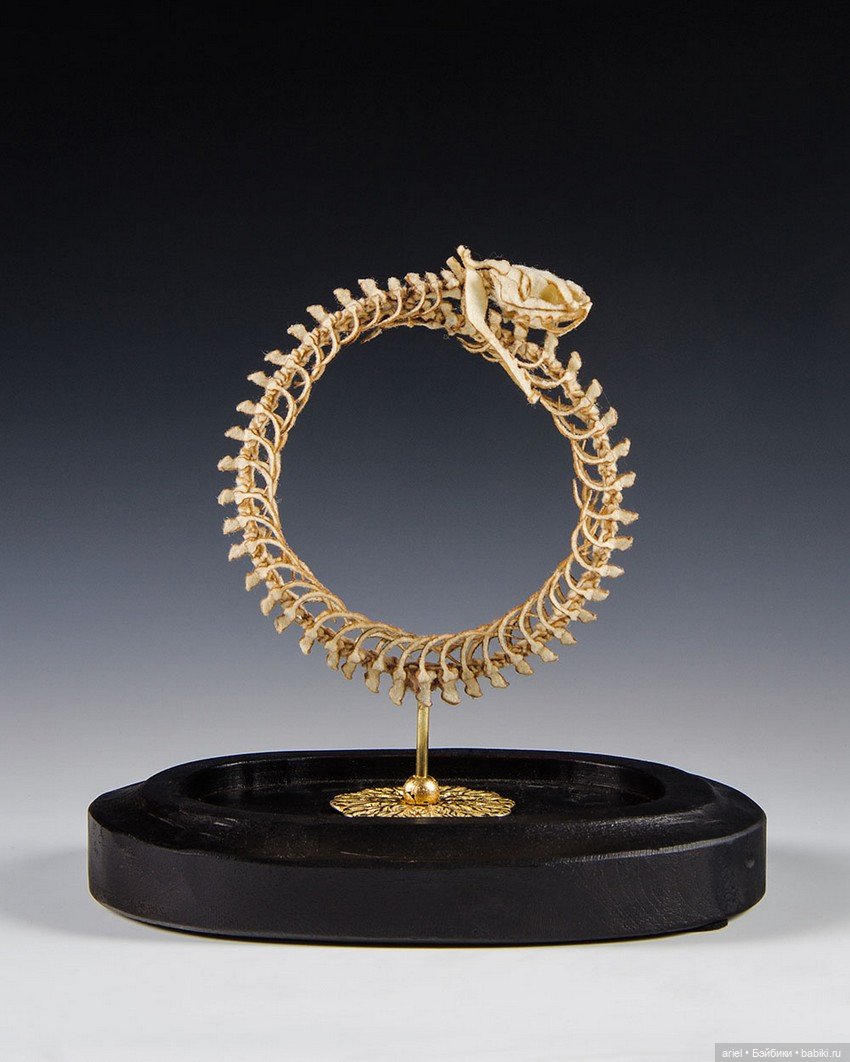 Анатомические препараты из новой коллекции Ланы Крукс (Lana Crooks)