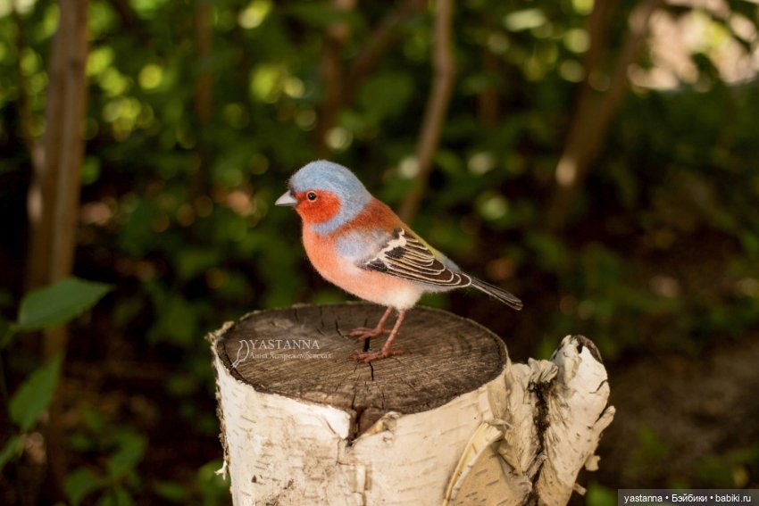 Зяблик — Валяные игрушки из шерсти: сухое валяние