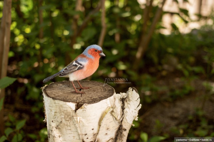 Зяблик — Валяные игрушки из шерсти: сухое валяние (фото 7)