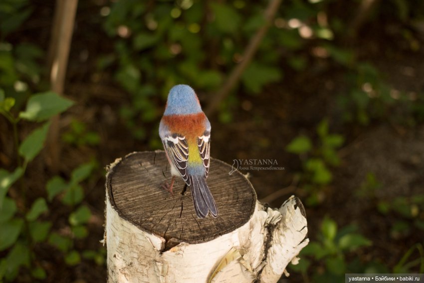 Зяблик — Валяные игрушки из шерсти: сухое валяние (фото 5)