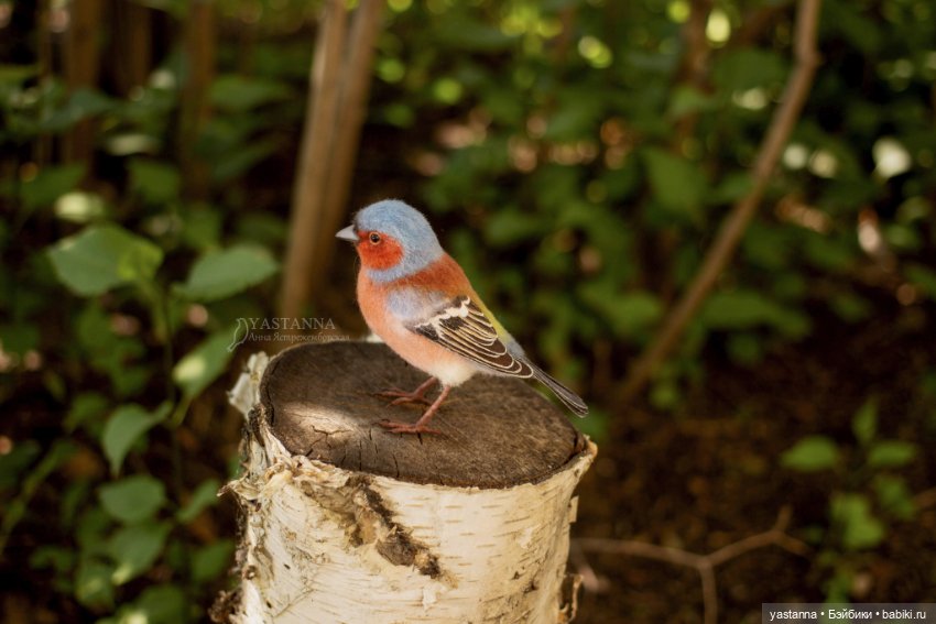 Зяблик — Валяные игрушки из шерсти: сухое валяние