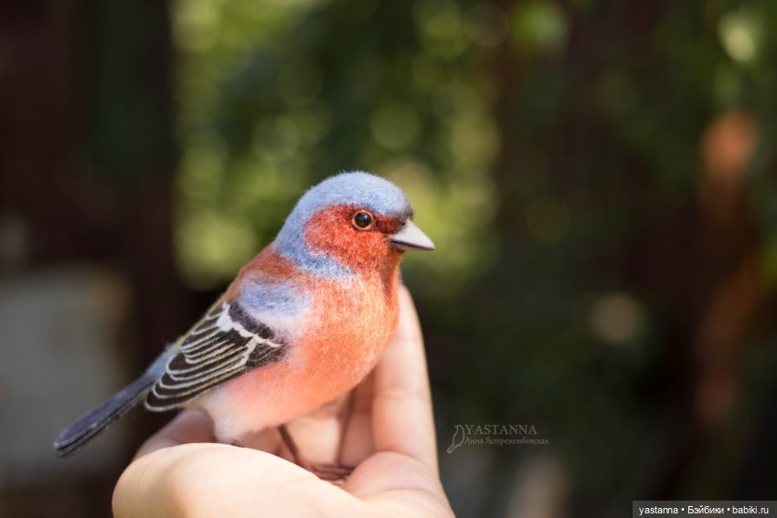 Зяблик — Валяные игрушки из шерсти: сухое валяние