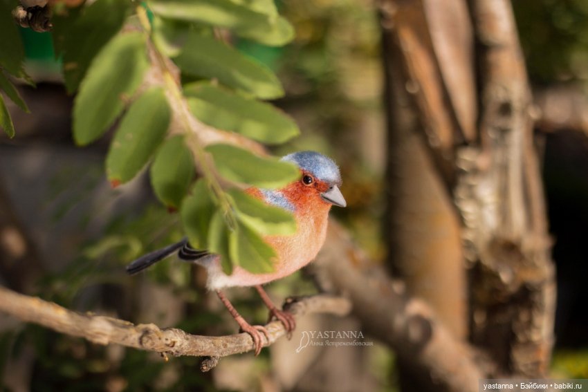 Зяблик — Валяные игрушки из шерсти: сухое валяние