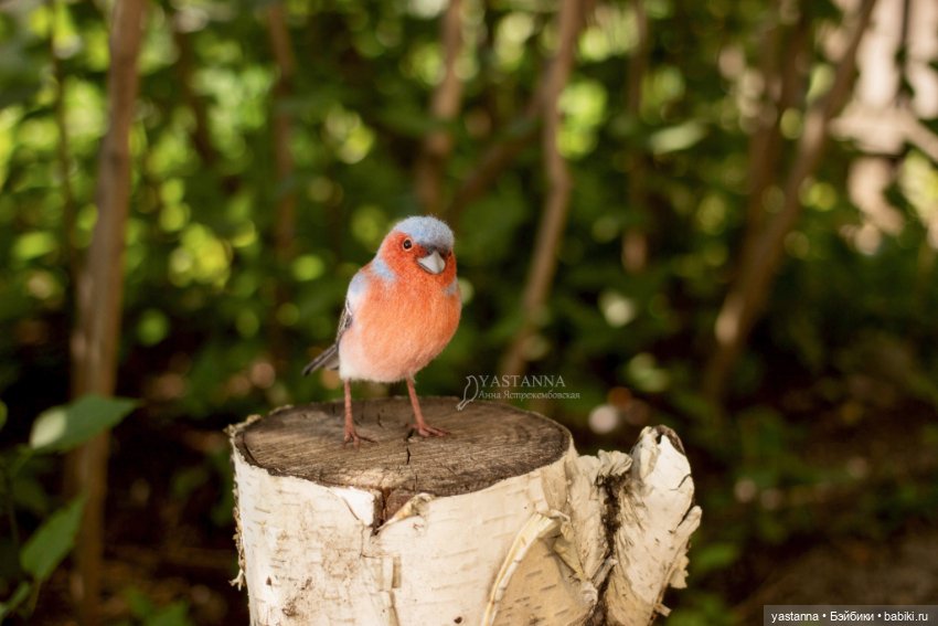 Зяблик — Валяные игрушки из шерсти: сухое валяние (фото 9)