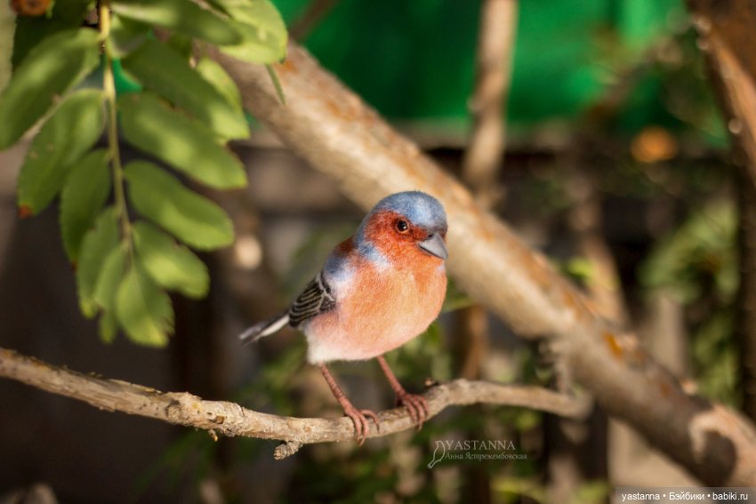 Зяблик — Валяные игрушки из шерсти: сухое валяние